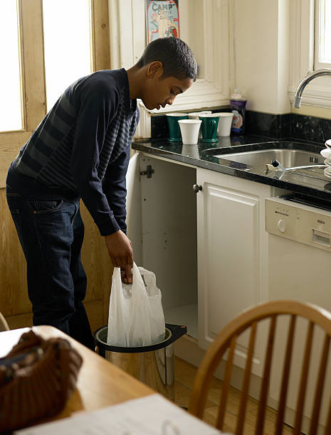 Best Junk Hauling Services  in Spring Grove, MN